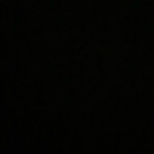 Meet your Posher, Sophia